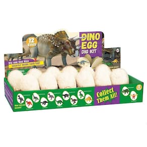 Brinquedos de dinossauro Kit de ovos de dinossauro Presentes para crianças Abra 12 ovos de dinossauro exclusivos Dinossauros fofos