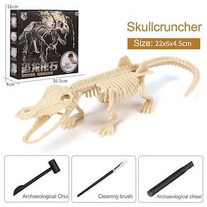 Brinquedo de dinossauro montado diy infantil Arqueologia Esqueleto fóssil de dinossauro