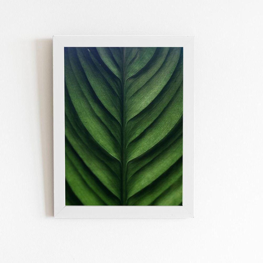 Quadro 60x40cm com Moldura de Ótimo Acabamento