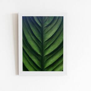 Quadro 60x40cm com Moldura de Ótimo Acabamento