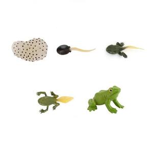 Frog Animals Miniatura Figurines Modelo, Criaturas Pinças de Brinquedo Conjunto