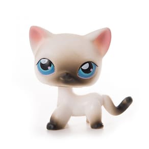 Little Pet Shop Figuras de Ação para Crianças Cat Collect