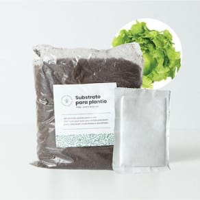 Kit Plantio Alface Aurélia, SANCHZ DESIGN, Cultivo Simples e Nutritivo