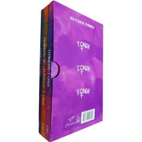 3 Livros Box Essencial Feminismo 1ª (Feminismo), 2ª (Feminismo no Casamento) e 3ª Onda (Feminismo?)