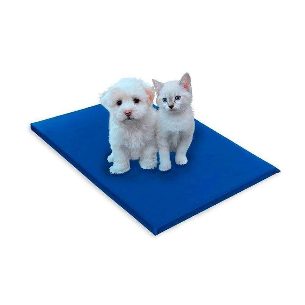 Colchão Pet Cachorro - Gato Médio Emborrachado Impermeável Lavável (50x80x4) - Luckspuma