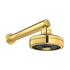 Chuveiro Deca Acqua Plus 1990.GL.CT de Parede Gold