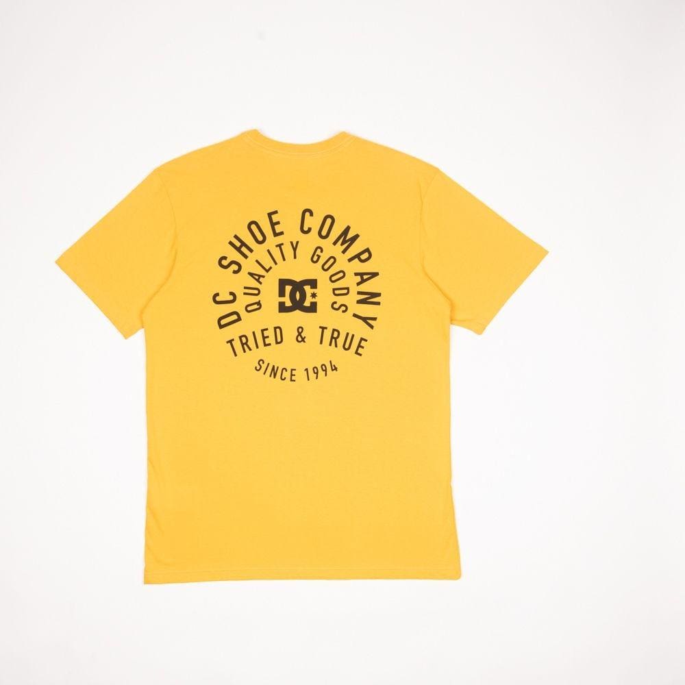 Camiseta DC Shoes Tried and True