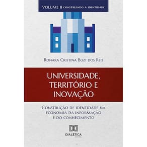Universidade, território e inovação - Construção de identidade na economia da informação e do conhecimento – volume II – construindo a identidade