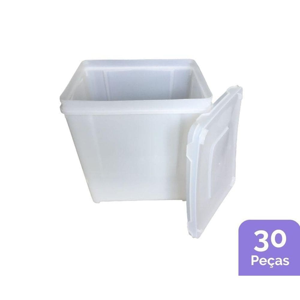 Potes Retangulares De 10 Litros - Kit 30 Peças