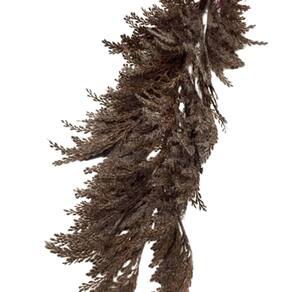 Haste Capim Dos Pampas Cor Ferrugem 115Cm - A Casa