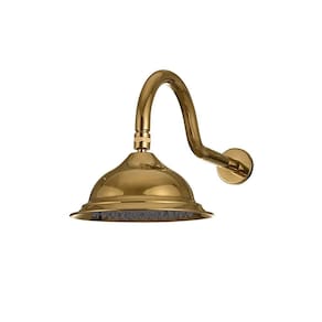Ducha Chuveiro Redondo Retrô Inox 20Cm Coari Pingoo.casa - Dourado