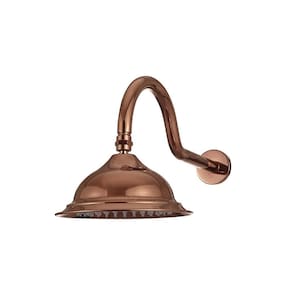 Ducha Chuveiro Redondo Retrô Inox 20Cm Coari Pingoo.casa - Dourado Rose