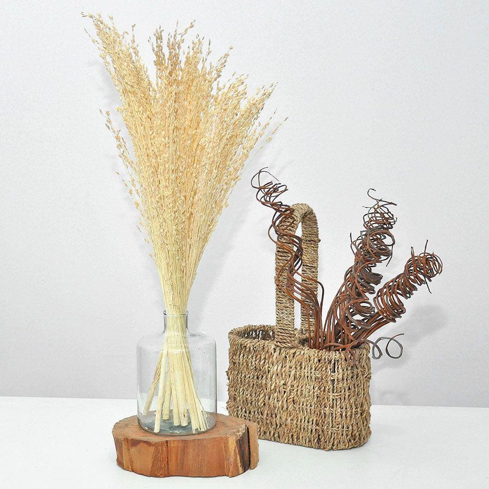 Arranjo de flores desidratadas capim branco + vaso de vidro