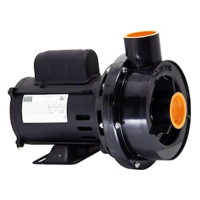 Bomba para Hidromassagem Dancor CHS-17 1CV 110/220V