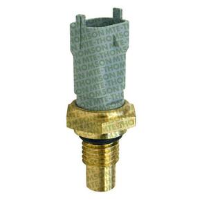 Sensor de Temperatura da Água Ranger Troller T4 3.0 Power Stroke - MTE4143