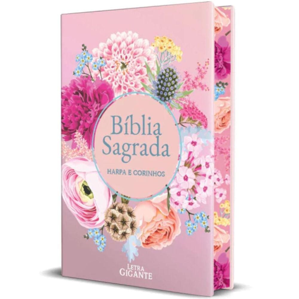 Biblia Sagrada Capa Dura Feminina | Casas Bahia