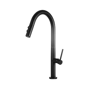 Torneira Para Cozinha Misturador Monocomando Aço Inox 304 Pauini Pingoo.casa - Preto