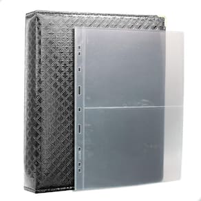 Álbum Fichário 10 Folhas Cédulas 2 Espaços 32x24 Cobra Fosco G