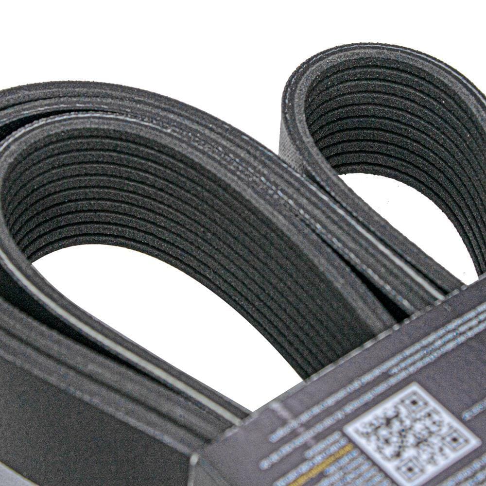 Correia Poly V - Continental 10PK2500