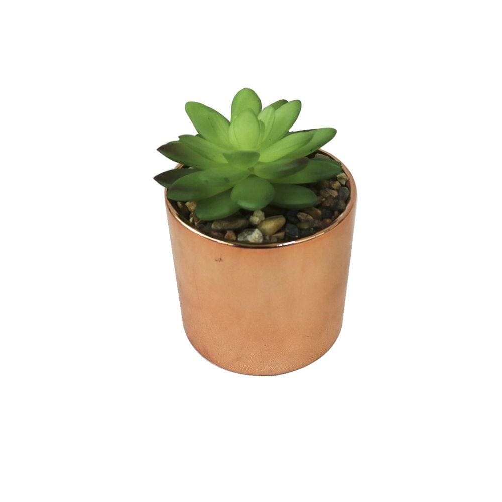 Vaso De Cerâmica  Com  Suculenta Artificial 9x8cm