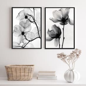 Kit 2 Quadros Flores Transparentes 45x34cm - Madeira Branca