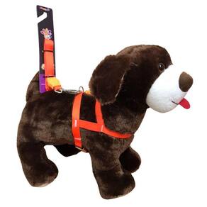 Peitoral Seda Neon Cães 15mm Laranja Nº 1 - Nicapet