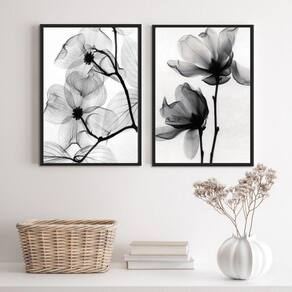 Kit 2 Quadros Flores Transparentes 45x34cm - Moldura Preta
