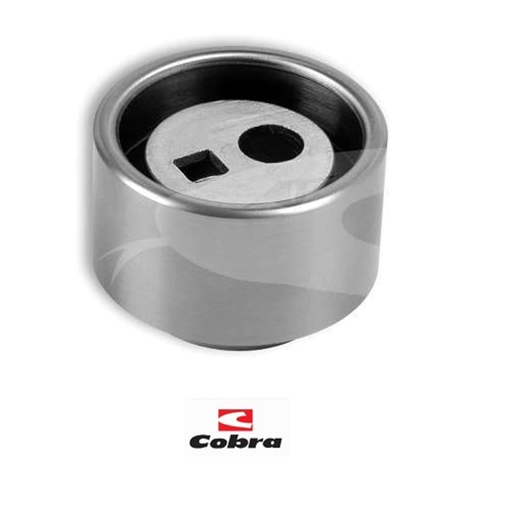 Polia Correia Dentada Berlingo Xantia 306 406 605 5413