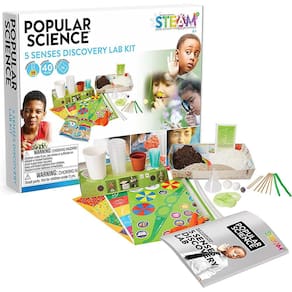 Popular Ciência 5 sentidos Discovery Lab Kit Crianças Educacionais