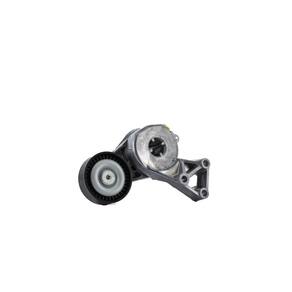Tensor Correia Alternador Audi A3 S3 TT Seat Cordoba Ibiza Volkswagen Bora Golf New Beetle Polo - ZEN13257