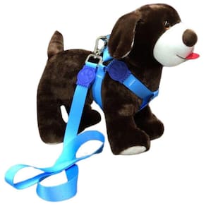 Peitoral Premium para Cachorro - 25mm Azul Nº 4