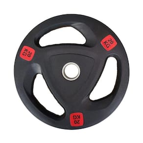 Anilha Vulcanizada Import 20Kg - Halteres Treino Força
