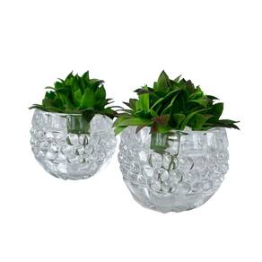 Dupla vaso cachepot em vidro alto relevo 3D decoração casa