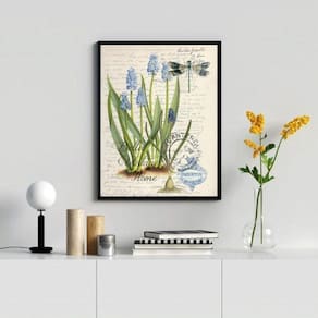 Quadro Vintage Botânica 45x34cm Vidro Moldura Branca