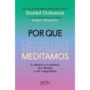 Por Que Meditamos: A Ciencia E A Pratica Da Clareza E Da Compaixao