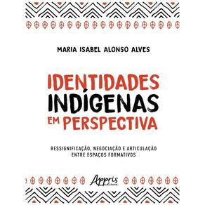 Identidades Indígenas Em Perspectiva