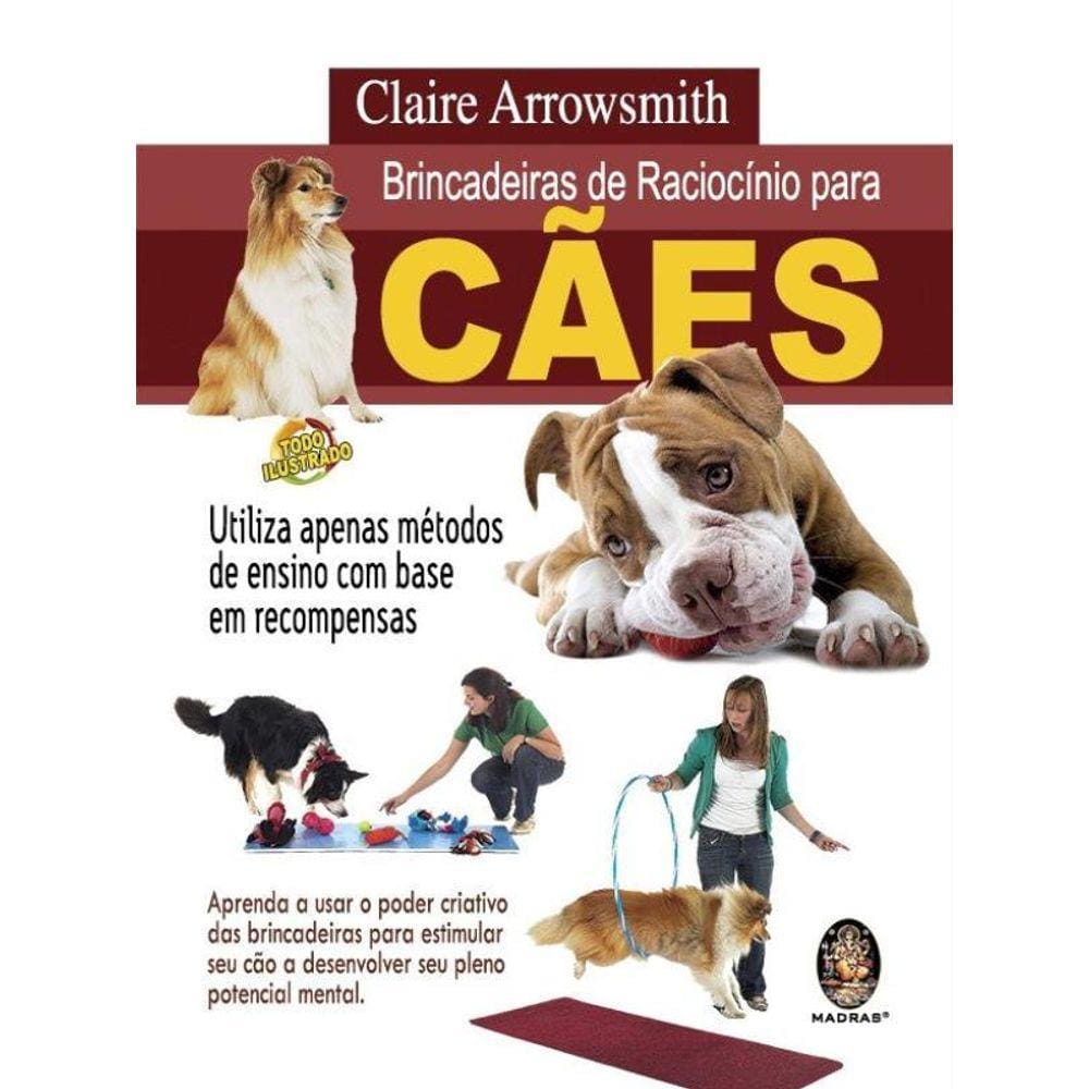 Brincadeiras De Raciocínio Para Cães