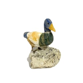 Ave - Minerais Variados e Base de Albita | P52