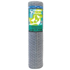 Tela Coleira Branca Morlan para Galinheiro 2" 23x1,50x50m