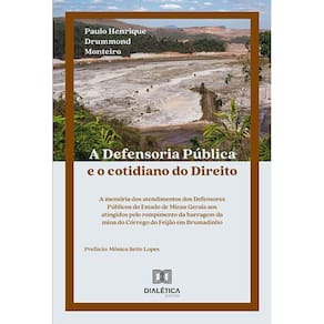 A Defensoria Pública e o cotidiano do Direito - A memória dos atendimentos dos Defensores Públicos do Estado de Minas Gerais aos atingidos pelo rompi