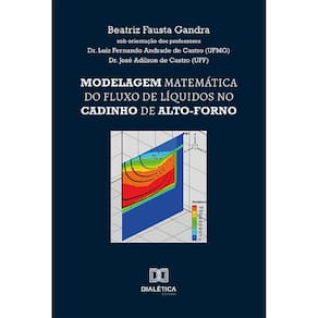 Modelagem matemática do fluxo de líquidos no cadinho de alto-forno