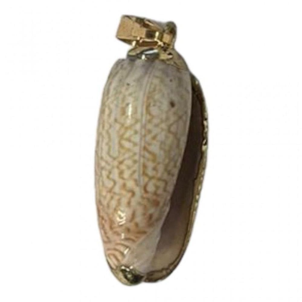 Pingente Concha Luxo 3,5 Cm Dourado