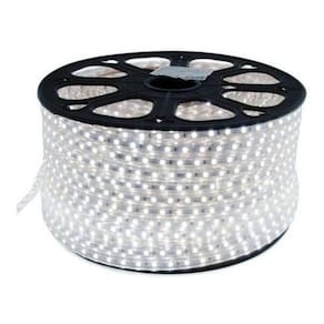 Rolo De Mangueira Led Branco Frio 5050 100m 220v Prova Agua