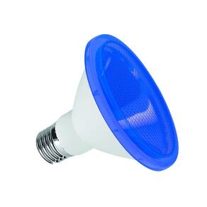 Lâmpada Par30 Led 10W Azul 127/220V Ip65 Luminatti