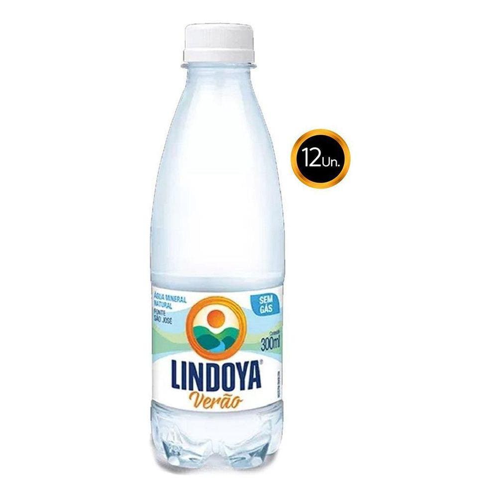 Água Mineral Lindoya 300Ml Kit 12