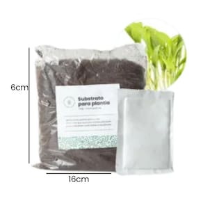 Kit Plantio Microverde Coentro Maya