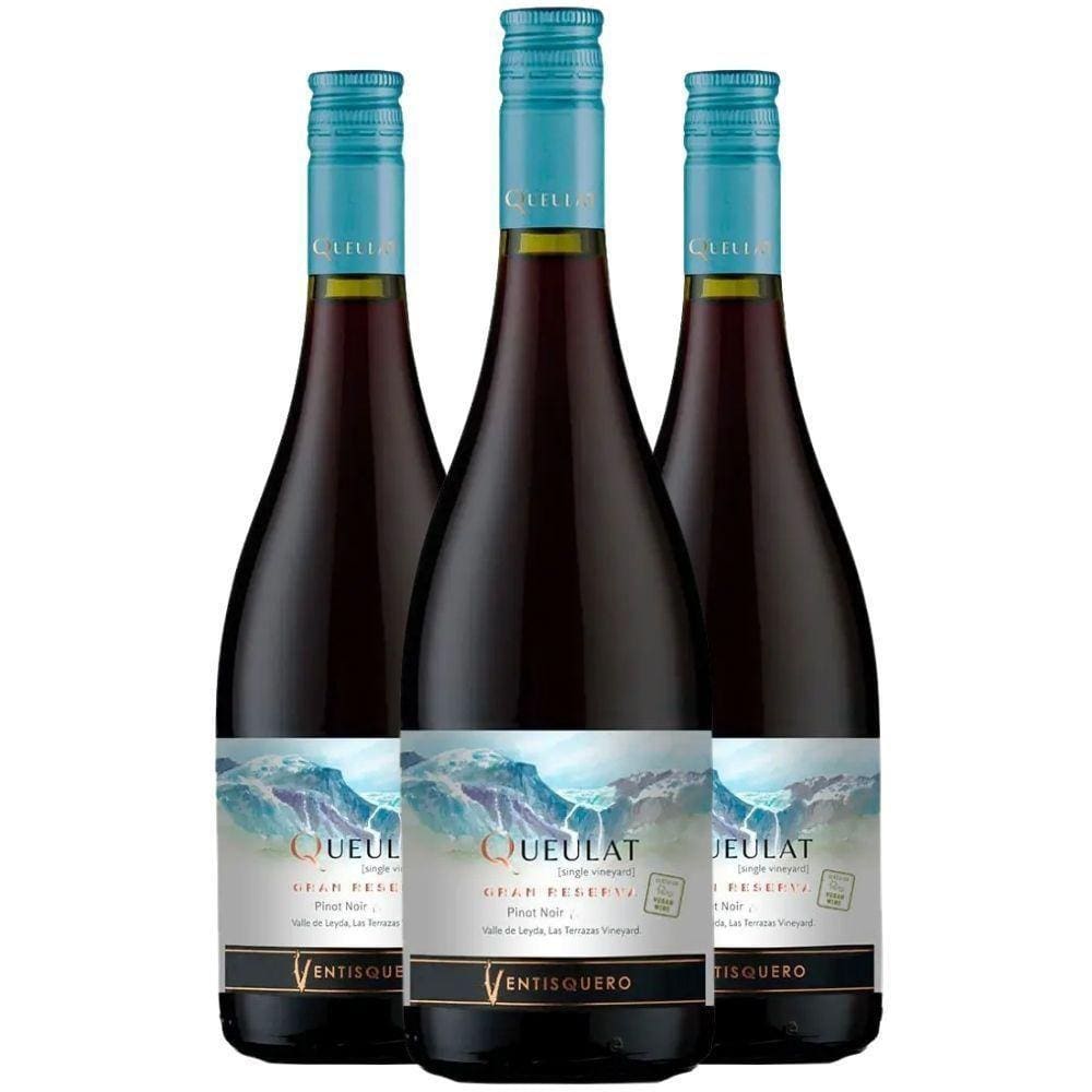 Vinho Tinto Ventisquero Queulat Gran Reserva Pinot Noir 750ml (3 Und)