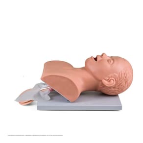Manequim Simulador De Intubação Adulto Gestão Via Aérea