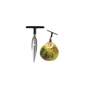 Furador de Coco Inox - Abertura Fácil e Higiênica