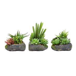 Planta suculenta artificial Pure Garden, conjunto de 3 com v